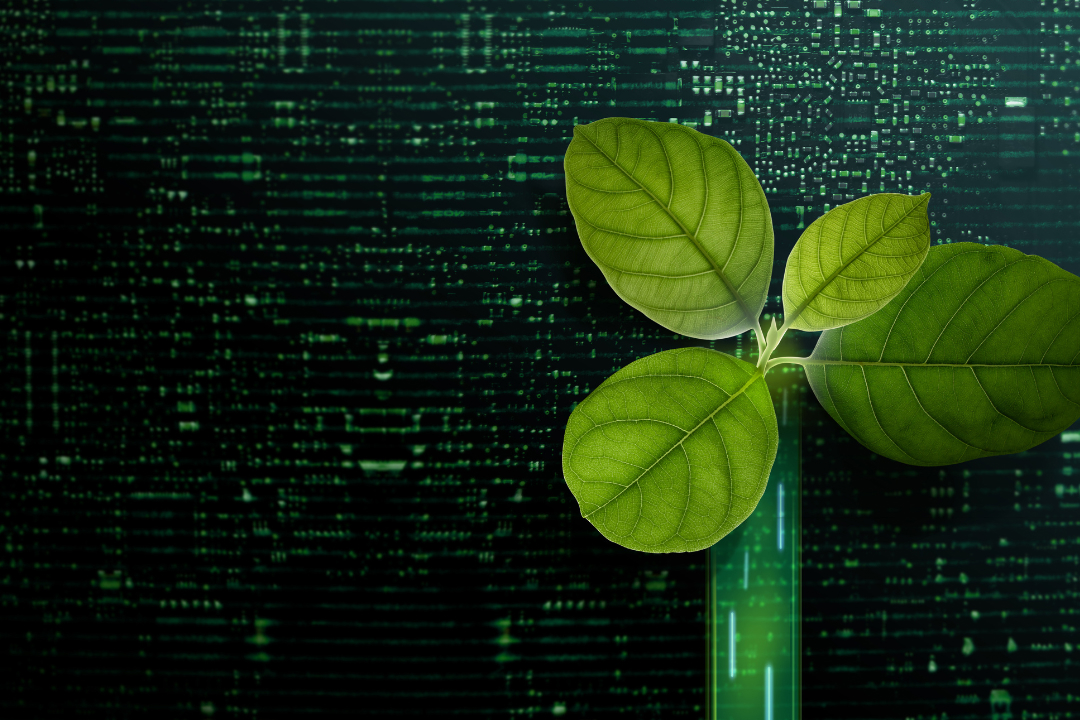 Why Privacy is ESG