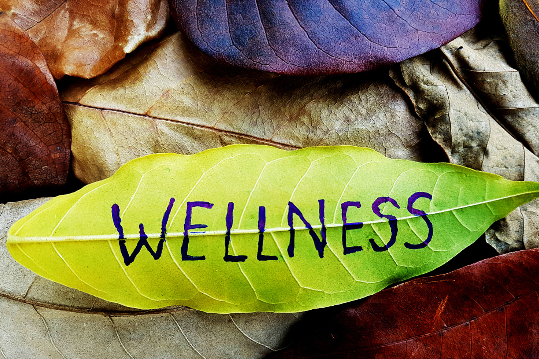 Why Privacy is Financial Wellness